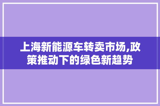 上海新能源车转卖市场,政策推动下的绿色新趋势