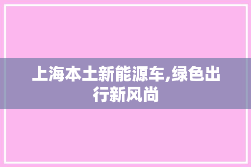 上海本土新能源车,绿色出行新风尚