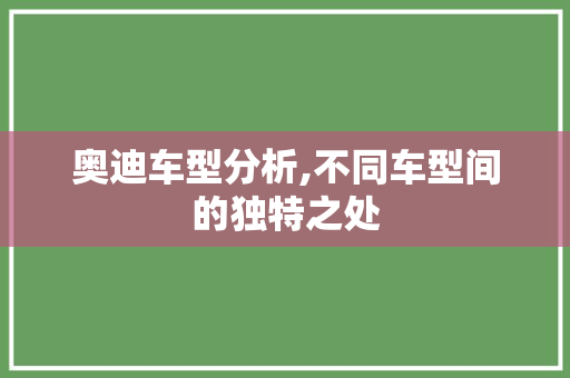 奥迪车型分析,不同车型间的独特之处