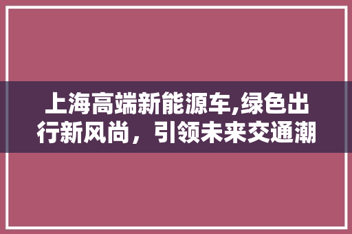 上海高端新能源车,绿色出行新风尚，引领未来交通潮流
