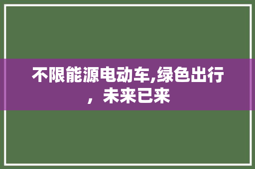 不限能源电动车,绿色出行，未来已来