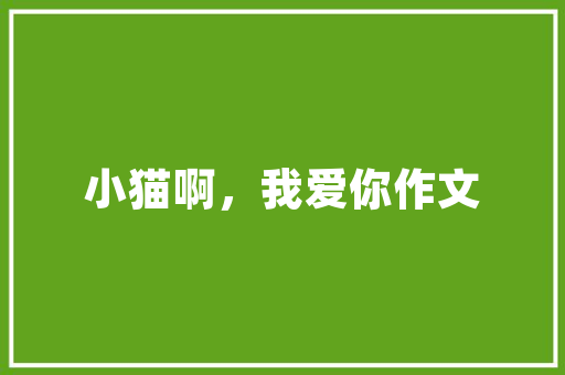 东台能源车租赁,绿色出行新选择，助力环保事业