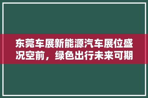 东莞车展新能源汽车展位盛况空前，绿色出行未来可期