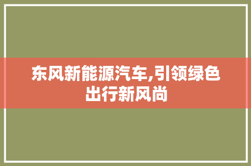 东风新能源汽车,引领绿色出行新风尚