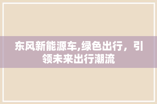 东风新能源车,绿色出行，引领未来出行潮流