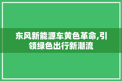 东风新能源车黄色革命,引领绿色出行新潮流