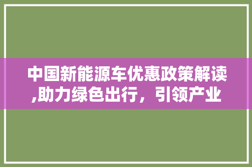中国新能源车优惠政策解读,助力绿色出行，引领产业发展