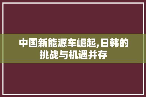 中国新能源车崛起,日韩的挑战与机遇并存