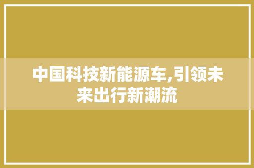 中国科技新能源车,引领未来出行新潮流