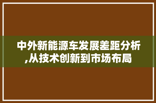 中外新能源车发展差距分析,从技术创新到市场布局