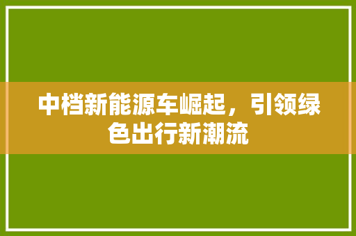 中档新能源车崛起，引领绿色出行新潮流
