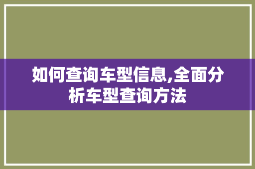 如何查询车型信息,全面分析车型查询方法