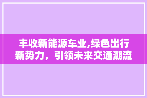 丰收新能源车业,绿色出行新势力，引领未来交通潮流