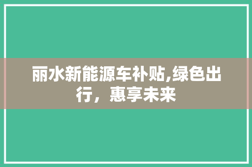 丽水新能源车补贴,绿色出行，惠享未来