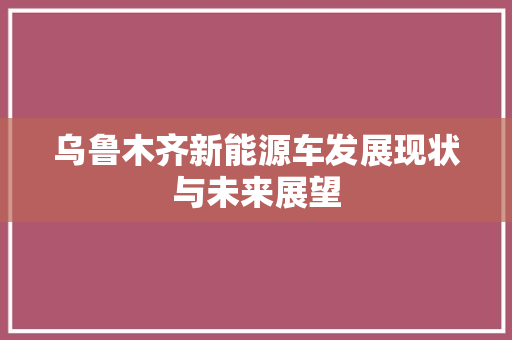 乌鲁木齐新能源车发展现状与未来展望