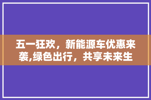 五一狂欢，新能源车优惠来袭,绿色出行，共享未来生活