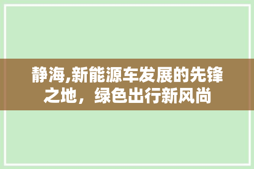 静海,新能源车发展的先锋之地，绿色出行新风尚
