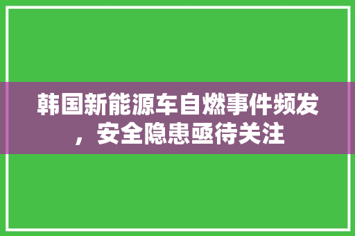韩国新能源车自燃事件频发，安全隐患亟待关注