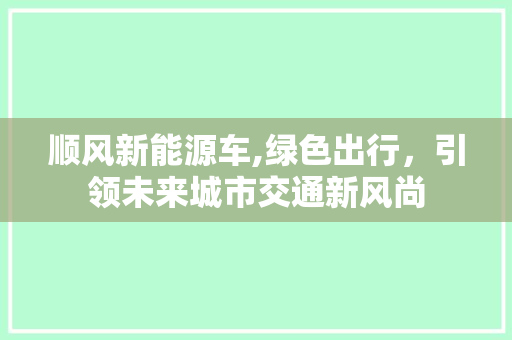 顺风新能源车,绿色出行，引领未来城市交通新风尚