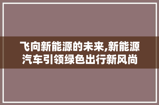 飞向新能源的未来,新能源汽车引领绿色出行新风尚