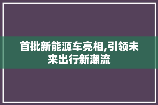 首批新能源车亮相,引领未来出行新潮流