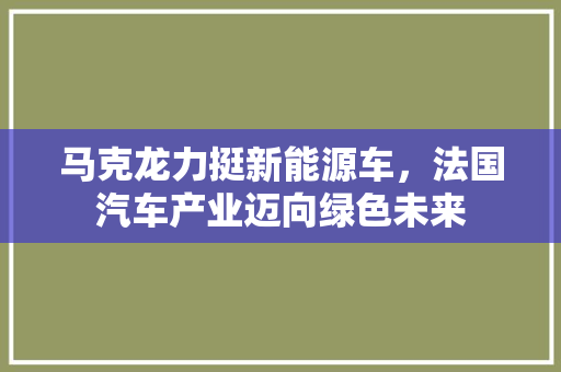 马克龙力挺新能源车，法国汽车产业迈向绿色未来