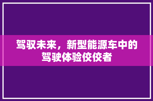 驾驭未来，新型能源车中的驾驶体验佼佼者