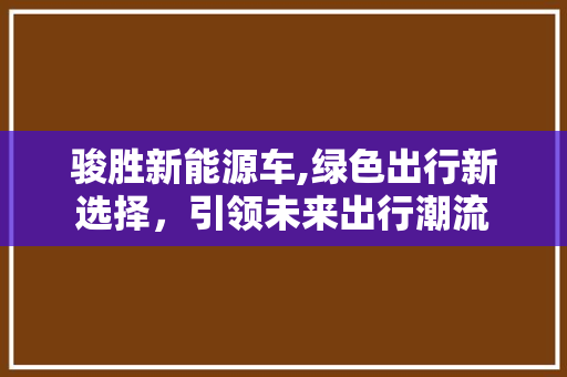 骏胜新能源车,绿色出行新选择，引领未来出行潮流