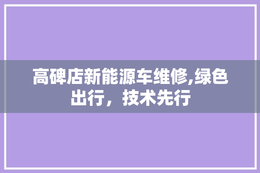 高碑店新能源车维修,绿色出行，技术先行