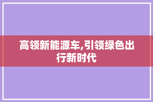 高领新能源车,引领绿色出行新时代