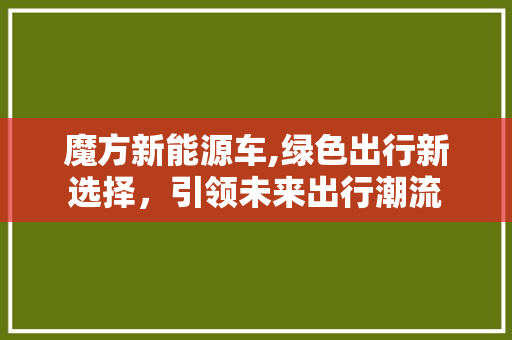 魔方新能源车,绿色出行新选择，引领未来出行潮流