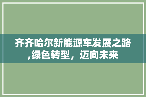 齐齐哈尔新能源车发展之路,绿色转型，迈向未来