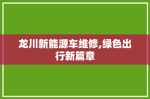 龙川新能源车维修,绿色出行新篇章