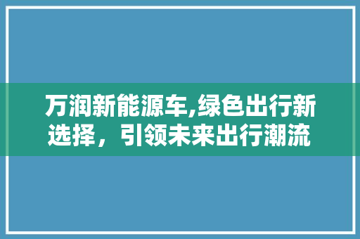 万润新能源车,绿色出行新选择，引领未来出行潮流
