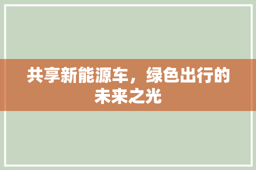 共享新能源车，绿色出行的未来之光