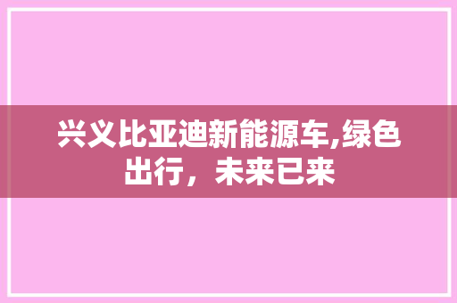 兴义比亚迪新能源车,绿色出行，未来已来