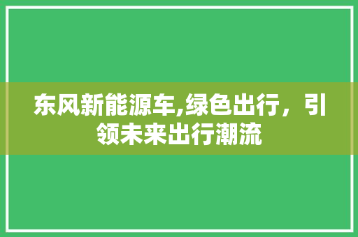 东风新能源车,绿色出行，引领未来出行潮流
