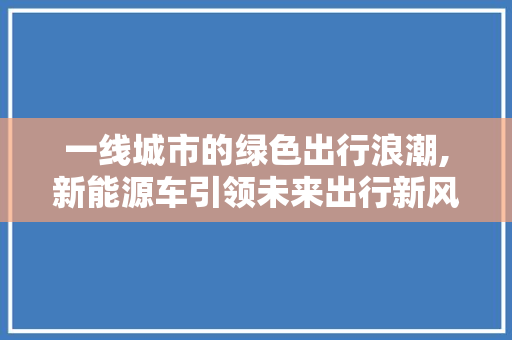 一线城市的绿色出行浪潮,新能源车引领未来出行新风尚