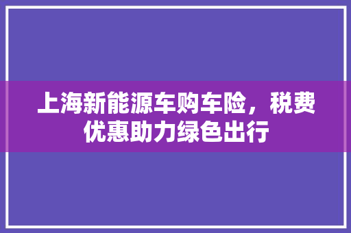 上海新能源车购车险，税费优惠助力绿色出行