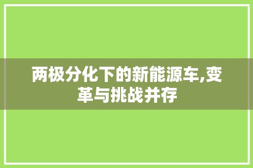 两极分化下的新能源车,变革与挑战并存