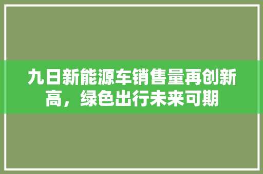 九日新能源车销售量再创新高，绿色出行未来可期