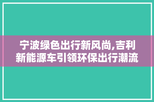 宁波绿色出行新风尚,吉利新能源车引领环保出行潮流