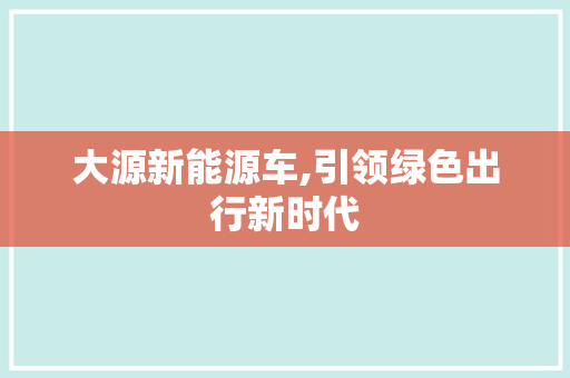 大源新能源车,引领绿色出行新时代