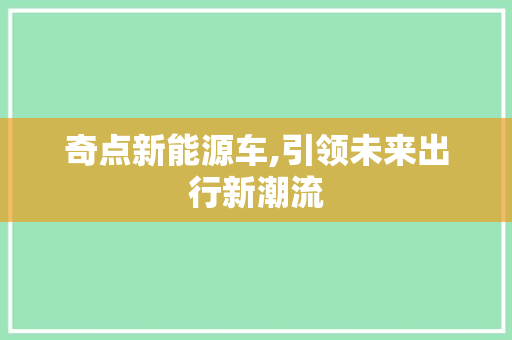 奇点新能源车,引领未来出行新潮流