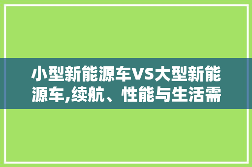 小型新能源车VS大型新能源车,续航、性能与生活需求的抉择