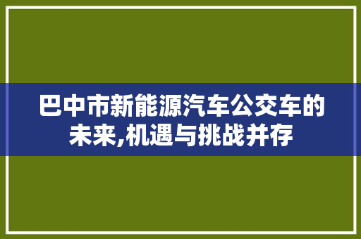 巴中市新能源汽车公交车的未来,机遇与挑战并存