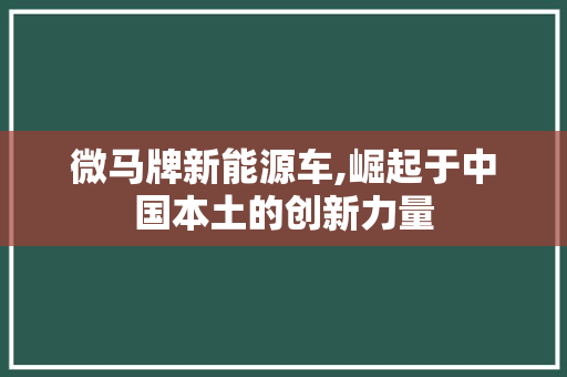 微马牌新能源车,崛起于中国本土的创新力量