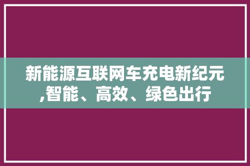 新能源互联网车充电新纪元,智能、高效、绿色出行