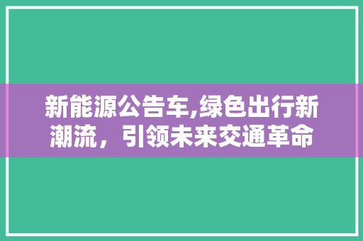 新能源公告车,绿色出行新潮流，引领未来交通革命