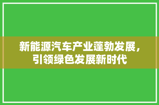 新能源汽车产业蓬勃发展，引领绿色发展新时代